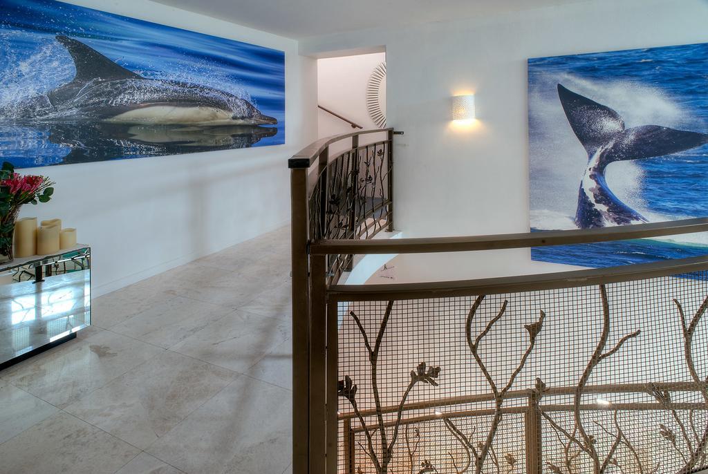 Sea Star Cliff Gansbaai Exterior foto